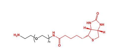 氨基聚乙二醇生物素 NH2-PEG-Biotin(图1)