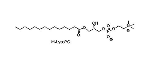 肉豆蔻酰溶血卵磷脂（ M-LysoPC）,20559-16-4(图1)
