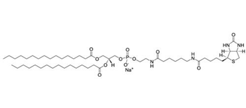 二棕榈酰磷脂酰乙醇胺-N-生物素钠盐（DPPE-cap-Biotinyl）,384835-52-3(图1)