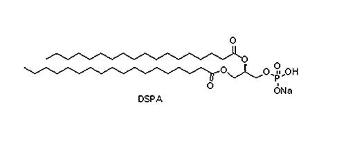 1,2-二月桂酰-sn-甘油-3-磷酸-L-丝氨酸钠盐(DLPS),208757-51-1(图1)