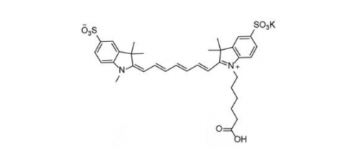 diSulfo-Cy7 Carboxylic Acid(Methyl)/水溶性Cy7 COOH 目录号	452001(图1)