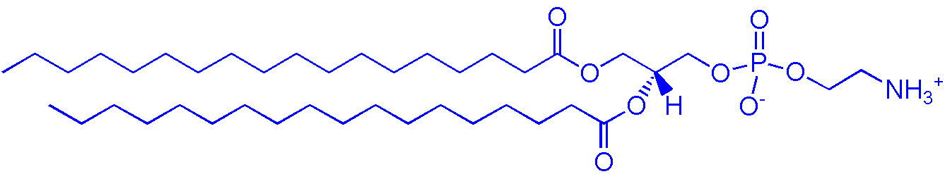 1069-79-0，DSPE（1,2-二硬脂酰基-sn-丙三基-3-磷脂酰乙醇胺）(图1)