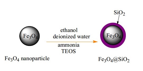 SiO2包覆Fe3O4纳米粒子（30nm）(图1)