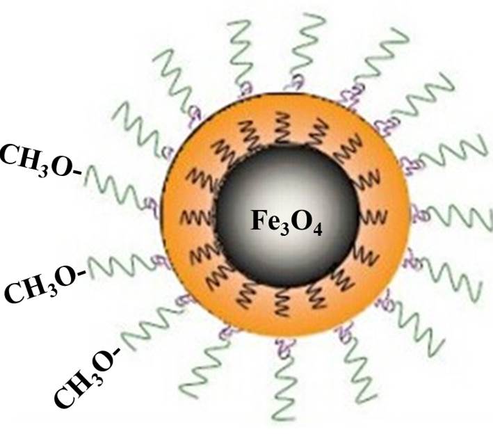 PEG包覆Fe3O4纳米粒子（10nm）(图1)
