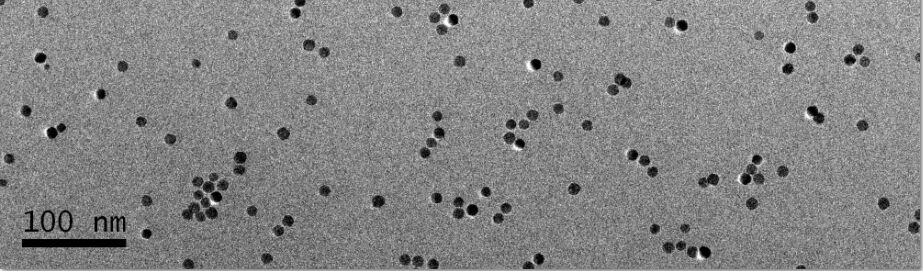 BSA涂层Fe3O4纳米颗粒（30nm）(图1)