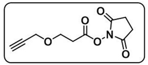 Alkyne-PEG1-NHS ester；1174157-65-3(图1)