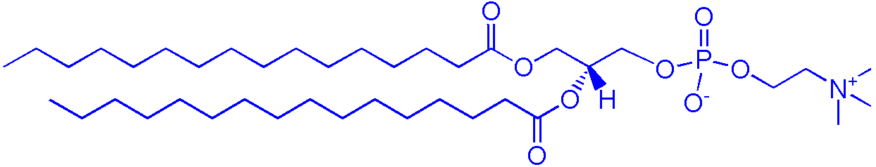 63-89-8，DPPC（1,2-二棕榈酰-sn-甘油-3-磷酰胆碱）(图1)