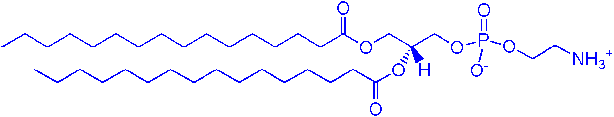 923-61-5，DPPE（1,2-二棕榈酰基-sn-丙三基-3-和磷酸乙氨醇）